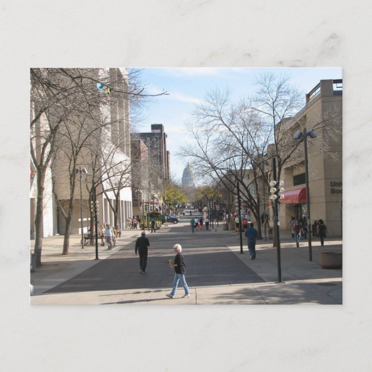 State Street Madison Wisconsin Library Mall Postcard Zazzle