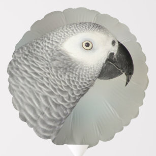 Stately African Grey Parrot Balloon