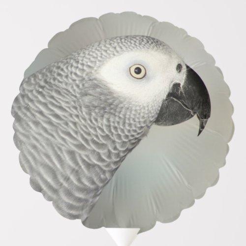 Stately African Grey Parrot Balloon