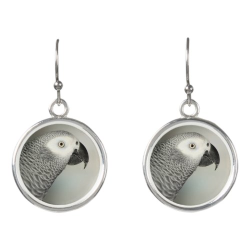 Stately African Grey Parrot Earrings