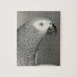 Stately African Grey Parrot Jigsaw Puzzle