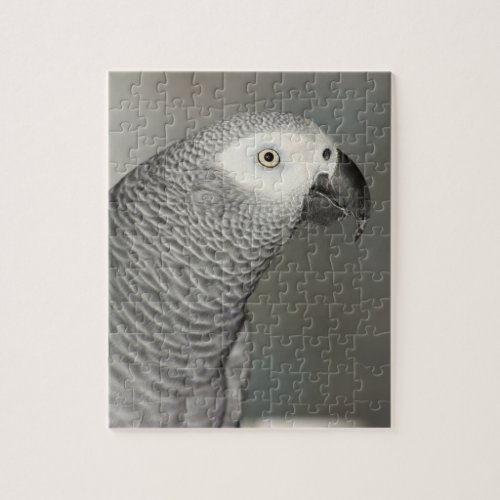 Stately African Grey Parrot Jigsaw Puzzle