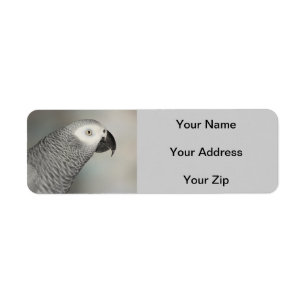 Stately African Grey Parrot Label