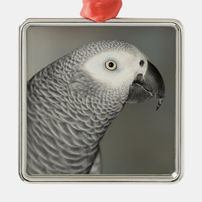 Stately African Grey Parrot Metal Ornament (Front)