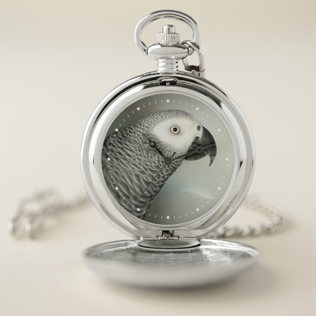 Stately African Grey Parrot Pocket Watch (Inside)
