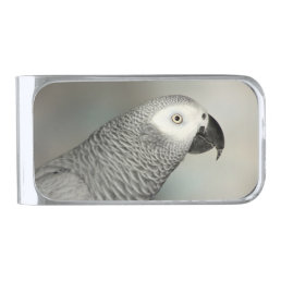 Stately African Grey Parrot Silver Finish Money Clip