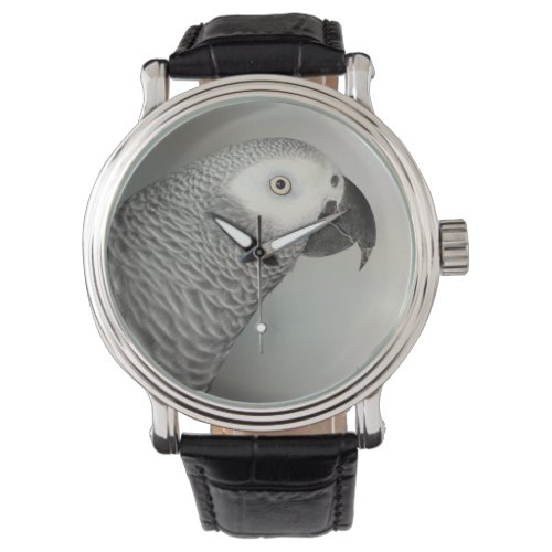 Stately African Grey Parrot Watch