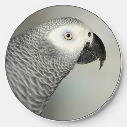 Stately African Grey Parrot Wireless Charger
