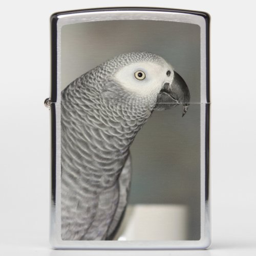 Stately African Grey Parrot Zippo Lighter