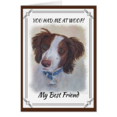 STATELY AUBURN SETTER MIX (Front)