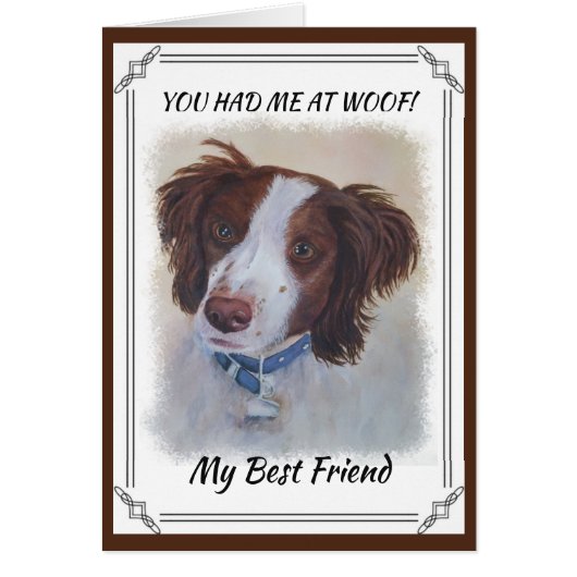 STATELY AUBURN SETTER MIX CARDS (Front)