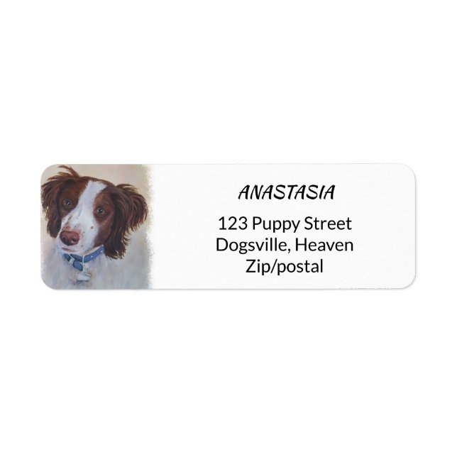 STATELY AUBURN SETTER MIX LABEL (Front)