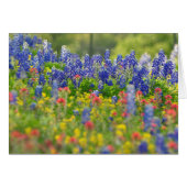 Stately Bluebonnets Card (Front Horizontal)