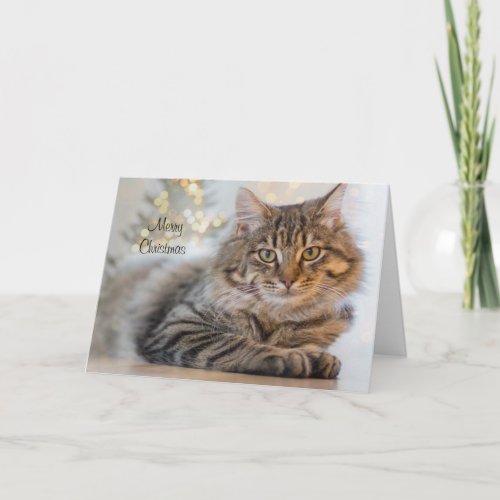 Stately Cat Personalized Pet Christmas Card