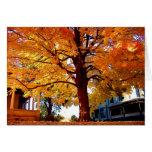 Stately Tree Autumn Tree Colors 2004 Card