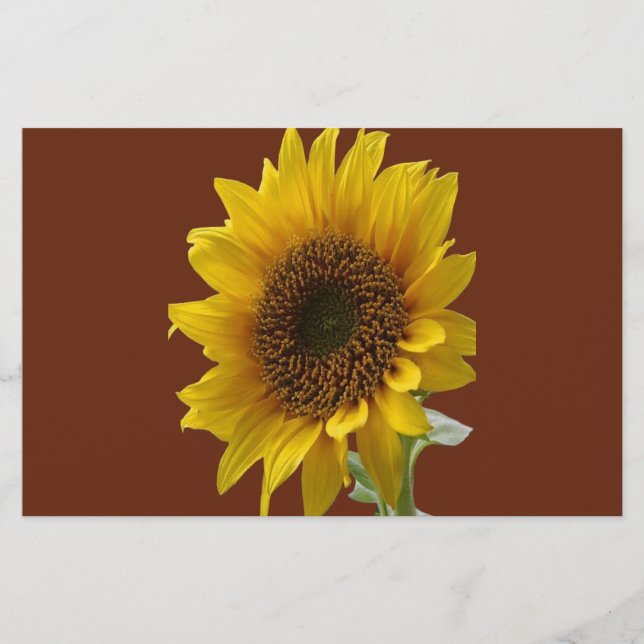 Stationary paper sunflower (Front)