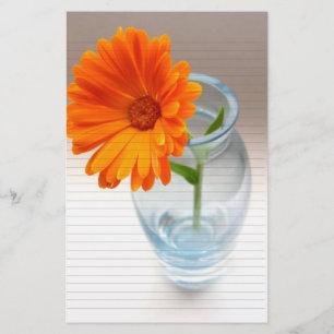 Stationery 1