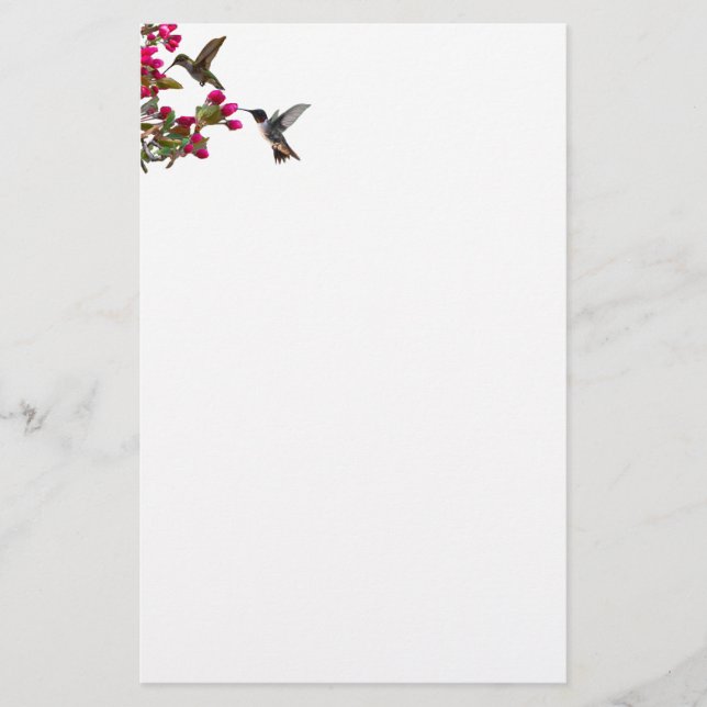 Stationery hummingbirds (Front)