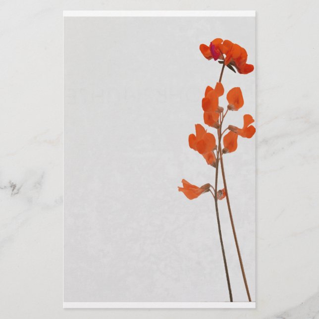 Stationery red flowers (Front)