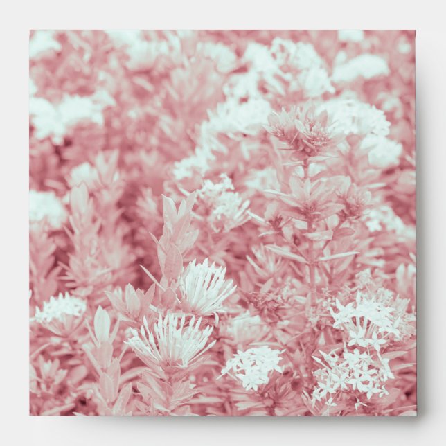 Stationery with Border Design Envelope (Front)