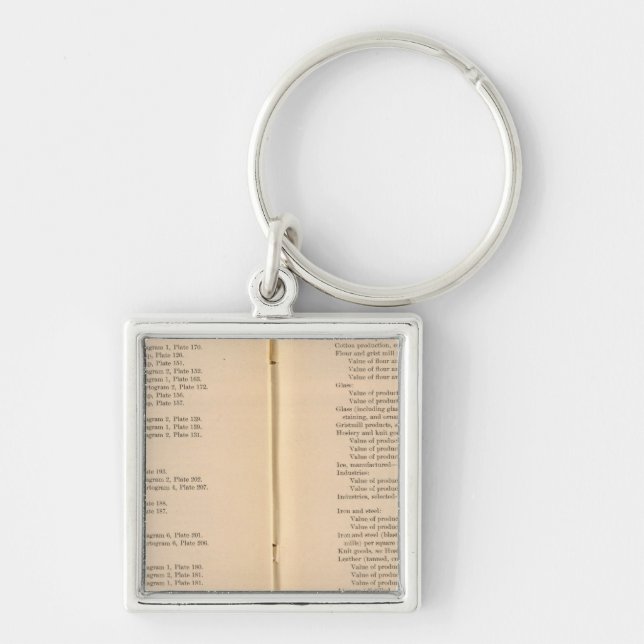 Statistical atlas 1900 9 keychain (Front)