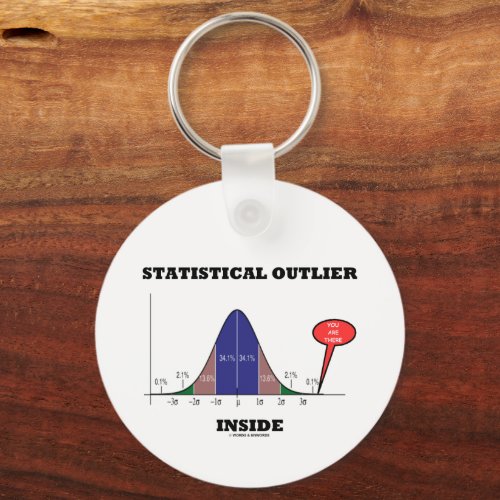 Statistical Outlier Inside You Are There Humor Keychain