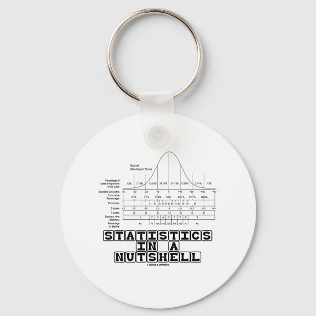 Statistics In A Nutshell (Stats Cheat Sheet) Keychain (Front)