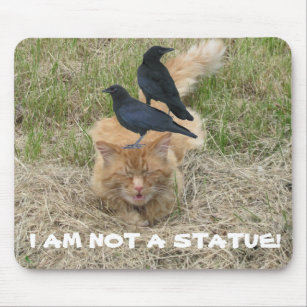 Statue Cat? Mouse Pad