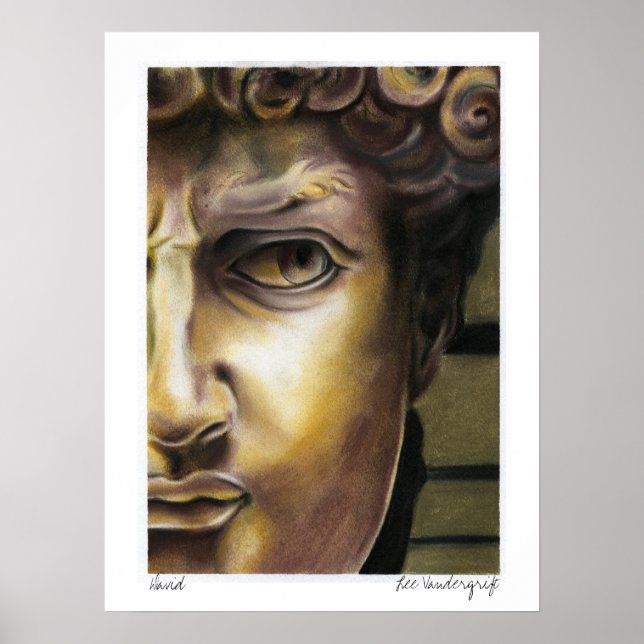 Statue of David by Lee Vandergrift Poster (Front)