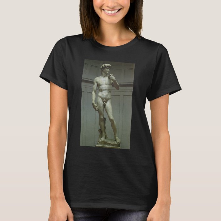 michelangelo david t shirt