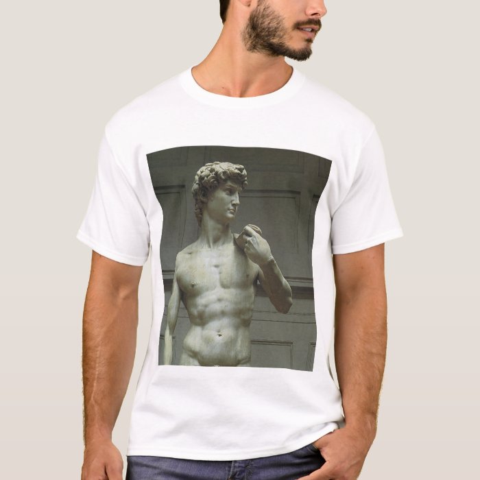 michelangelo david t shirt