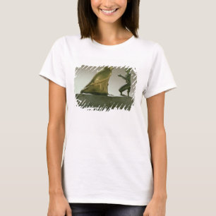 Statue of King Taharqa worshipping the falcon-god T-Shirt