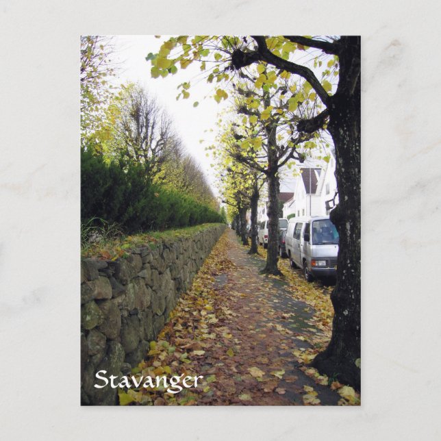 Stavanger, Norway Postcard (Front)