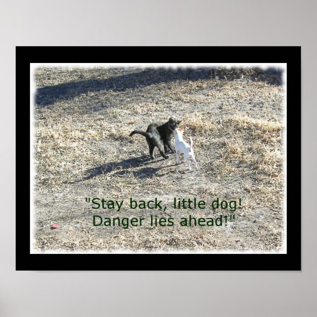 Stay Back Little Dog Poster (Front)