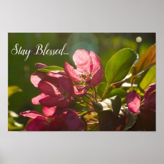 Stay Bless Spring Floral Poster