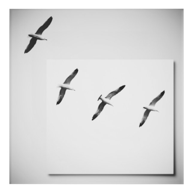 Stay Close Acrylic Print (Front)