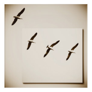 Stay Close - Sepia Version Acrylic Print