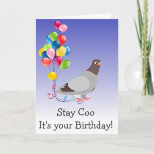 Personalised Male Birthday Card 'Bird Day' Bird Watching Pigeon 