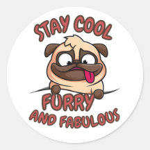 Stay Cool furry and fabulous, Cool Dog, Funny Dog