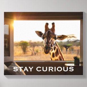 Stay Curious Giraffe Personalized Wall Art Gift Canvas Photo Tile