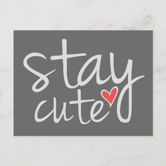 Stay Cute Postcard, Gray Postcard (Front)