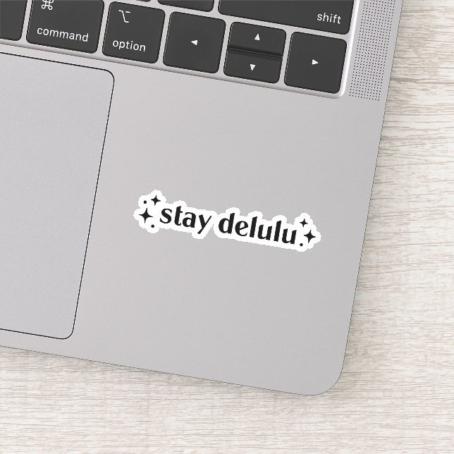 Stay delulu sticker (Detail)