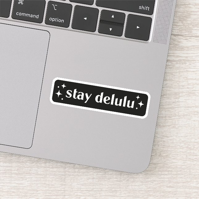 Stay delulu sticker (Detail)