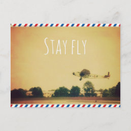 Stay Fly Postcard