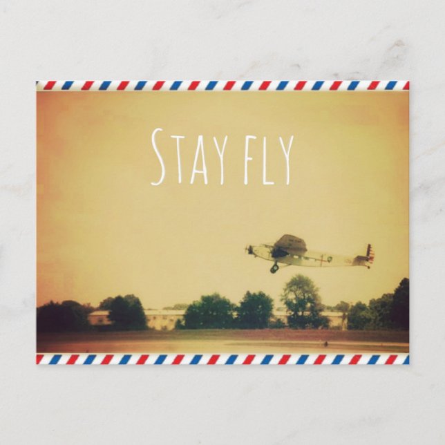 Stay Fly Postcard (Front)