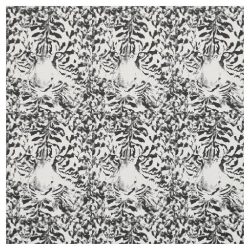 Stay Focused #5_ Fabric