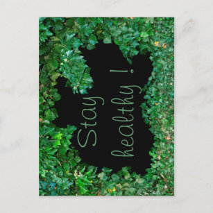 Stay healthy with green Ivy Postcard