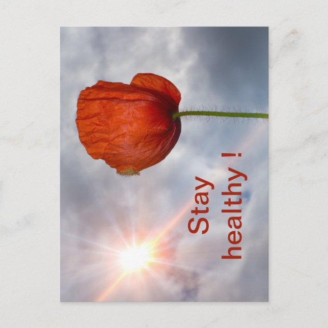 Stay healthy with red flower postcard (Front)