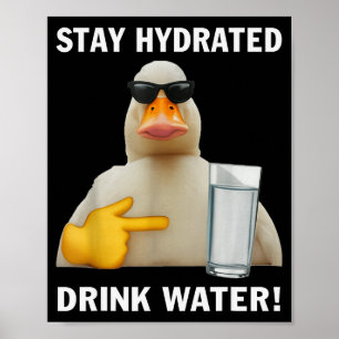 Stay Hydrated Drink Water Funny Meme Duck Poster