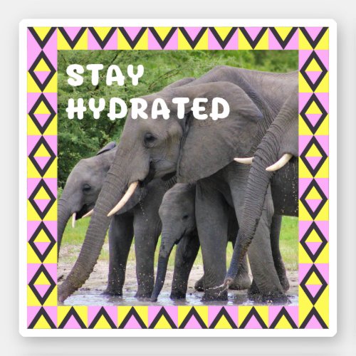 Stay Hydrated Elephant Health Typography Water Sticker